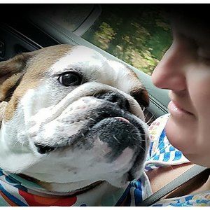 Meet your Posher, Sandra